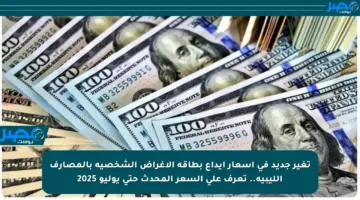 تغير جديد في أسعار إيداع بطاقة الأغراض الشخصية بالمصارف الليبية.. تعرف على السعر المحدث حتى يوليو 2025